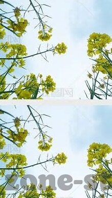 599比分足球直播-599比分足球直播，球迷观赛新体验，实时数据与激情碰撞的盛宴