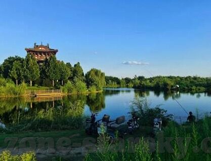 足球十四直播比分直播-足球十四直播比分直播，绿茵场上的数字心跳与球迷狂欢